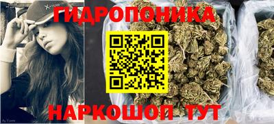 индика Ачхой-Мартан
