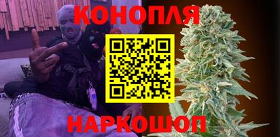 индика Ачхой-Мартан